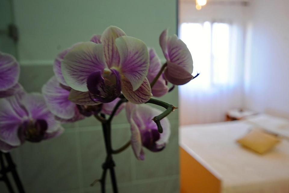 Apartments Marija Бибинє Номер фото